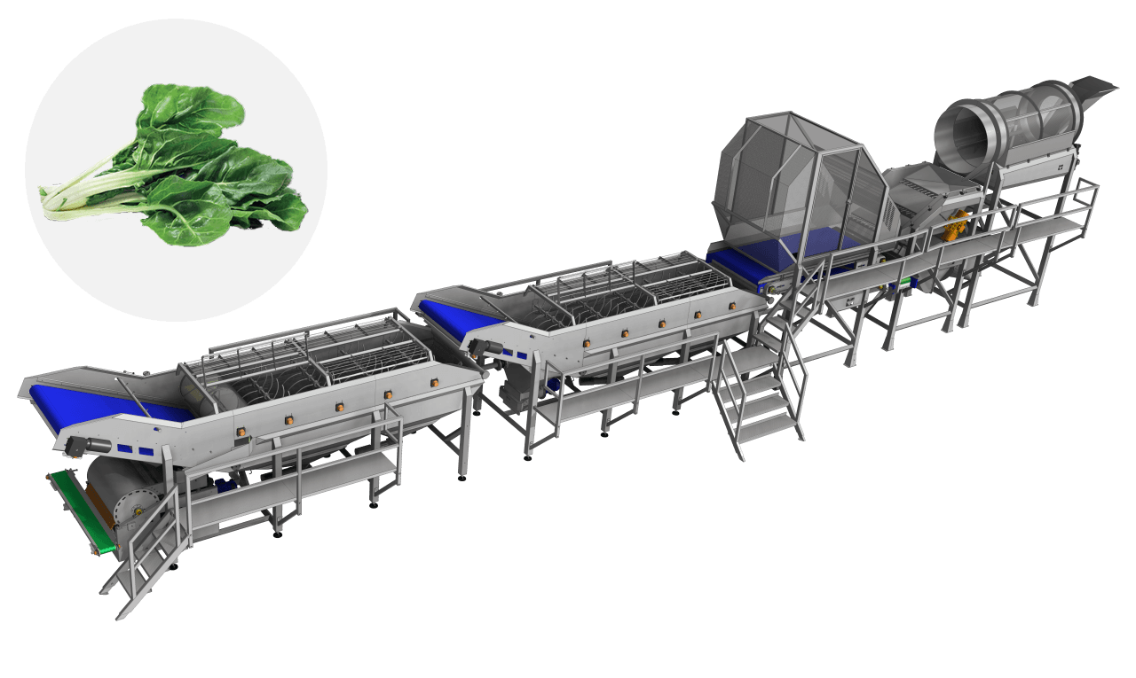 Spinach processing machines, Line for spinach, Spinach processing, Food processing equipment